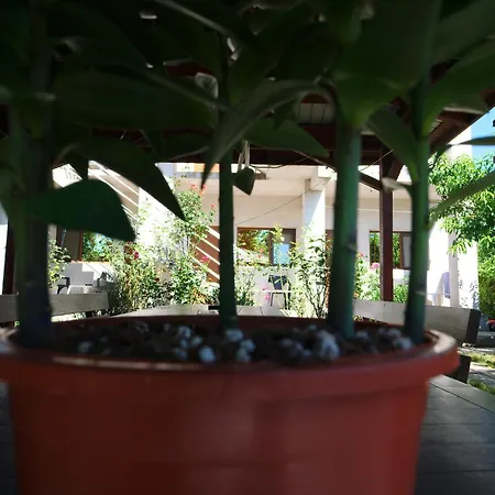 Casa Ramia *