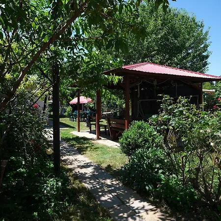 Guest house Casa Ramia Vama Veche