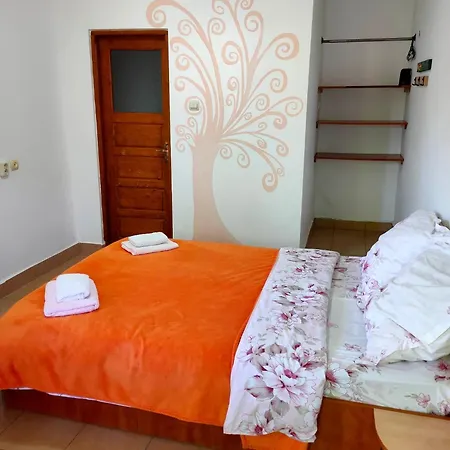 Casa Ramia Vama Veche