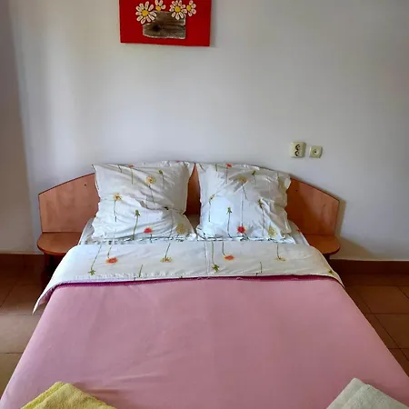 Pensiune Casa Ramia Vama Veche